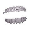 WESH.fff - Home